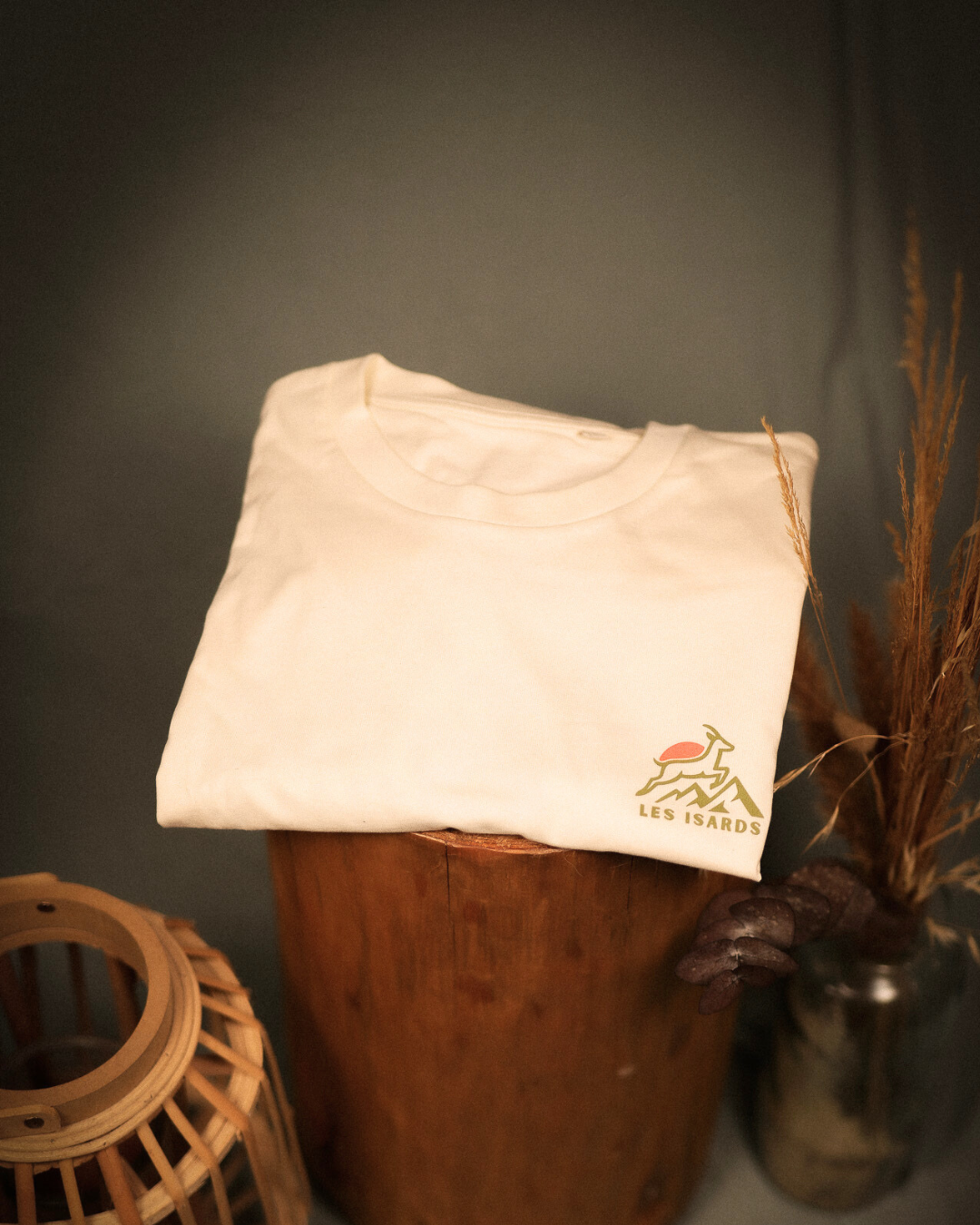 T-shirt D+ Addict